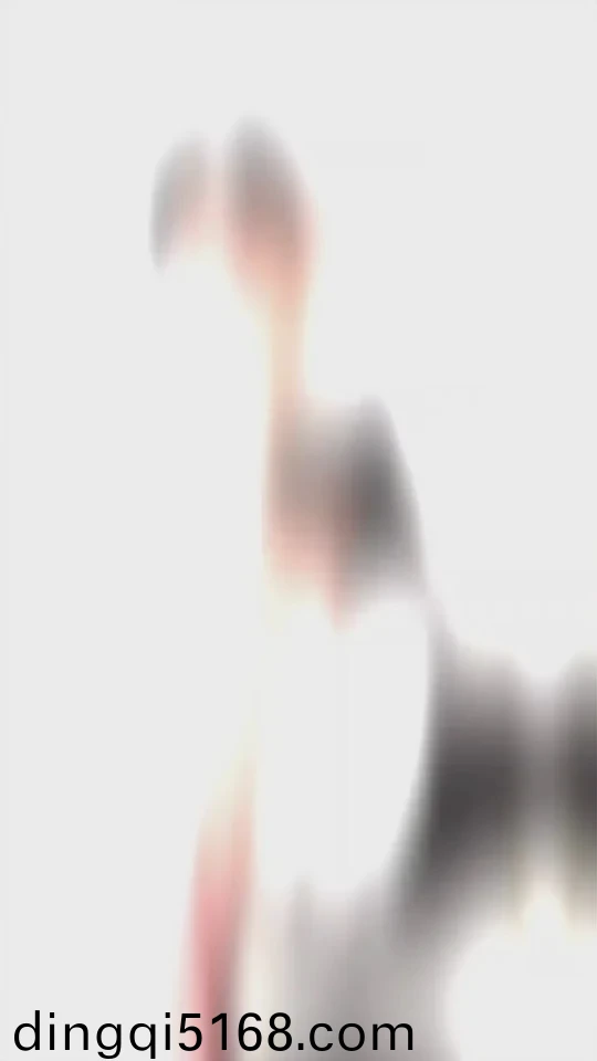 火炬之光2声望等级